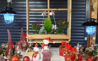 Vánoční floristika - P1010777