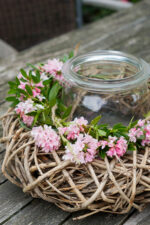 Rhododendron micranthum ´Bloombux´ ® – INKARHO , EXKLUSIV !! - Image 13