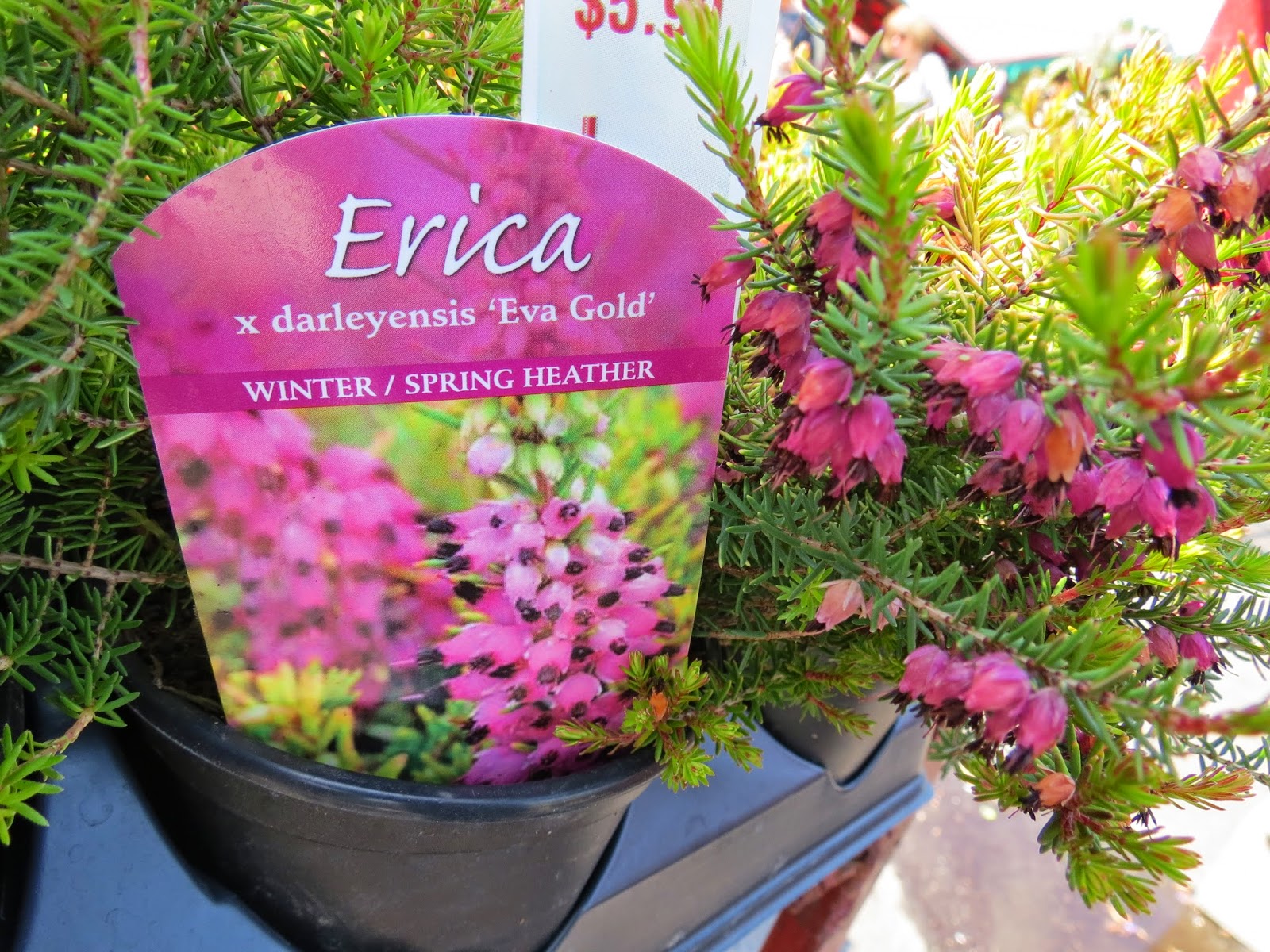  Zahradní centrum "Strakovo" s.r.o.