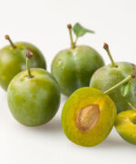 Zelená renklóda 'Verte'- Prunus d. 'Reine Claude Verte' - Image 2