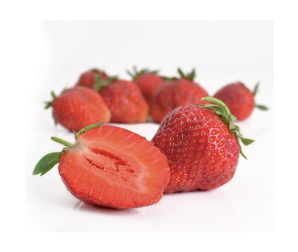 Jahody – sazenice 'Korona', poloraná, 10-pack