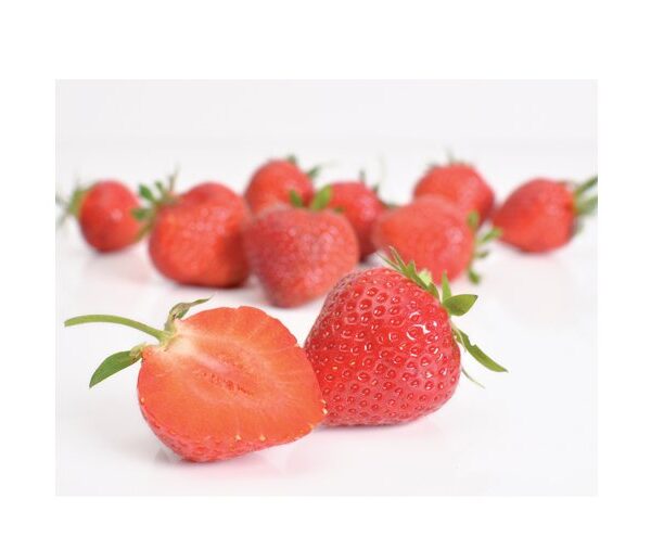 Jahody – sazenice 'Florence', pozdní, 10-pack