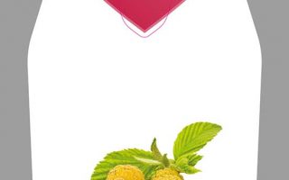 Rubus idaeus ´Golden Everest´ žlutá malina, remontantní, C2,0 L - Himbeere Golden Everest Rubus idaeus 1 20411