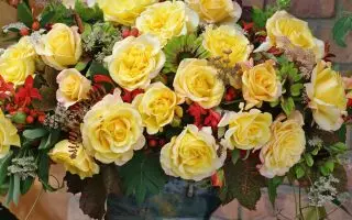ROSA KORDES 2L Sunny Sky – velkokvětá růže keřová - 99f0b9b44a110adfadfab7c800b7ee1b41d12756