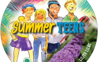 Buddleja davidii Summer Teens, C3L - summer teens etikett 684112