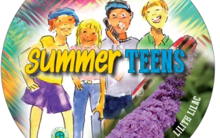 Buddleja davidii Summer Teens, C5L - summer teens etikett 684112