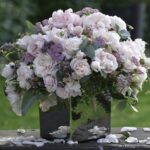 ROSA KORDES, Constanze Mozart® - Image 3