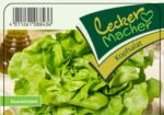 Salát hlávkový zelený, resistentní – cena za ks
