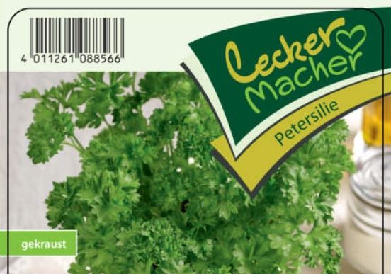 Petržel – sazenice presovaná sadba zeleniny, cena za ks
