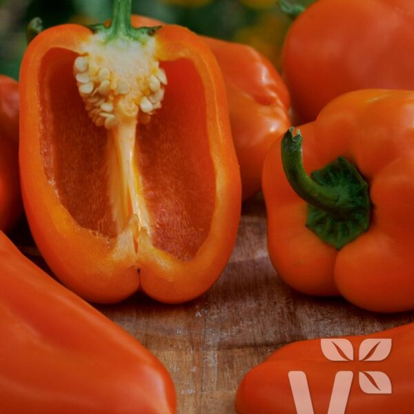 Paprika Block Midi Almira® Orange, C3L