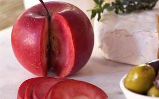 Jabloň ´Circe´ Redlove® – NOVINKA ! - The Redlove apple os red inside 1