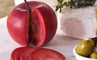 Jabloň ´Circe´ Redlove® – NOVINKA ! - The Redlove apple os red inside 1