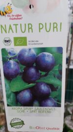 Slivoň sloupovitá 'Aroma Spur'®-pozdní