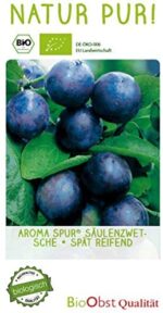 Slivoň sloupovitá 'Aroma Spur'®-pozdní - Image 2