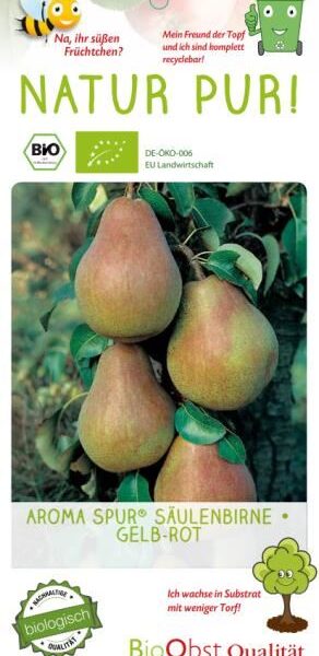 Hrušeň sloupovitá 'Aroma Spur'®-žlutočervená