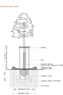 Kůl se špicí 250/5 - Uvazek strom do trojsponu