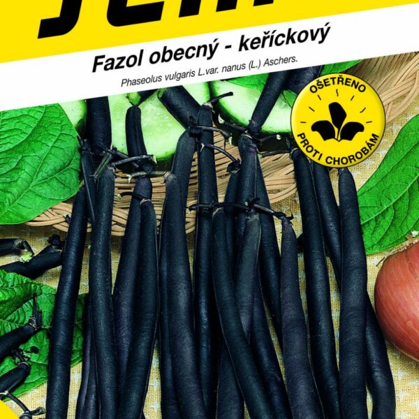 Fazol keř. fialový - Purple Queen 10g