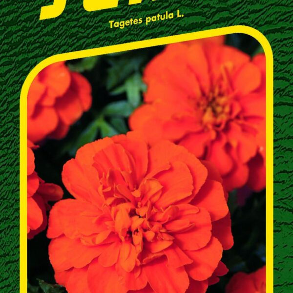Aksamitník rozkladitý - Bonanza Deep Orange 30s