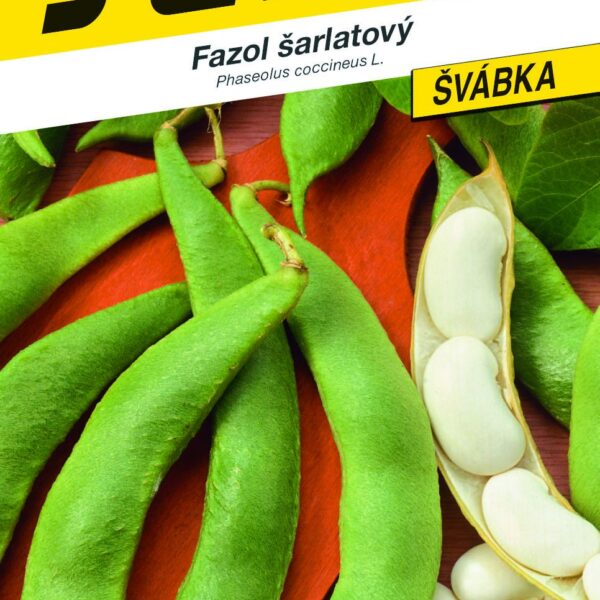Fazol tyč. bílý - Albena 10s