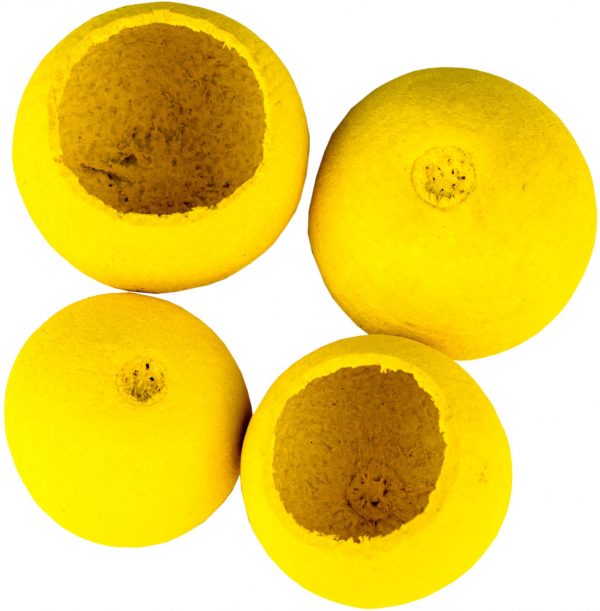 Dekorace - Bell cup 4-5 cm - žlutý 4 ks - 169ca5f9 ef47 4f5d 829d 08141745ee4c
