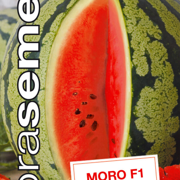 Dobrá semena Meloun vodní - Moro F1 10s