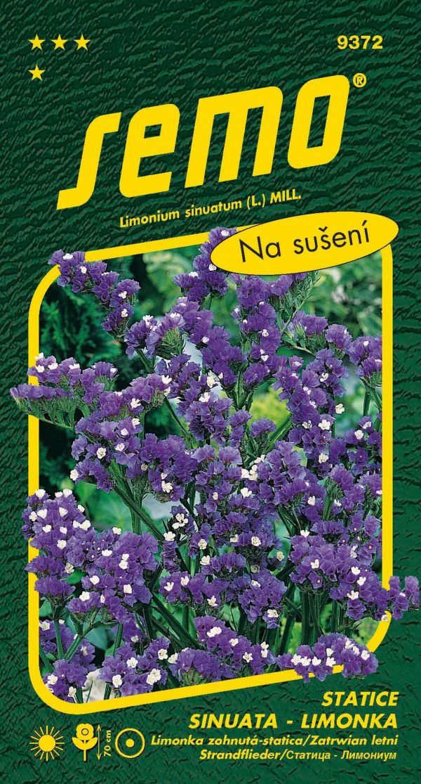 Limonka Statice sinuata - Dark Blue fialová 0,5g - 1b115ba1 eda3 4940 baf2 a13c8b96ecd8