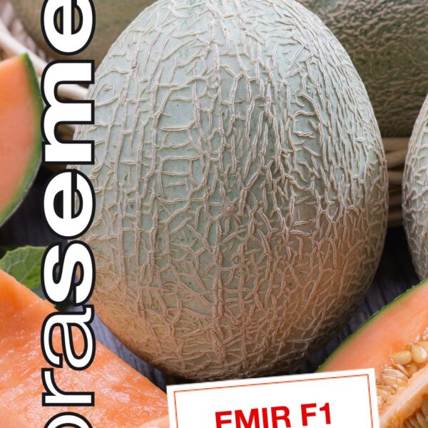 Dobrá semena Meloun cukrový - Emir F1 20s
