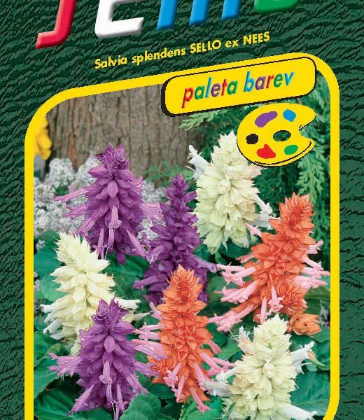 Šalvěj zářivá - směs 30s - série PALETA