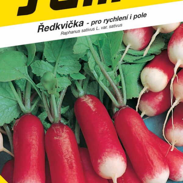 Ředkvička čb - Slavia rychl, pole podl. 5g