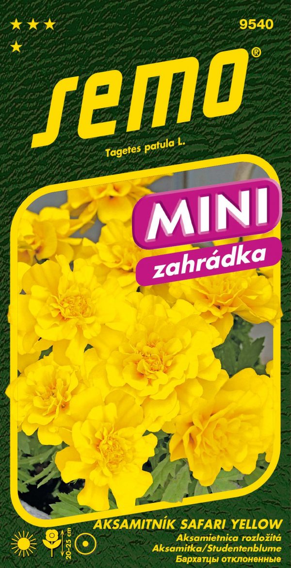 Aksamitník Safari Yellow - rozkladitý 30s - série MINI - 2e526ff1 70e5 4183 b921 b08dc40d3d71