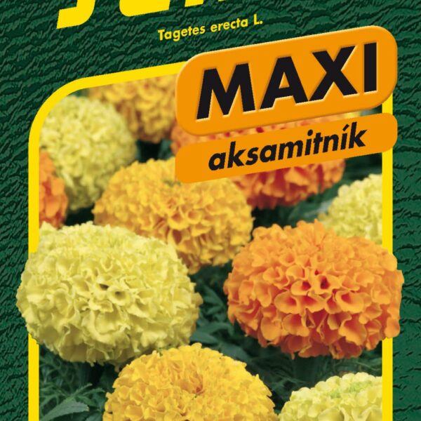 Aksamitník vzpřímený - Taishan F1 15s - série MAXI