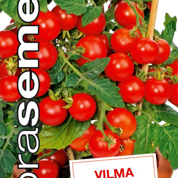 Dobrá semena Rajče balkónové - Vilma 50s