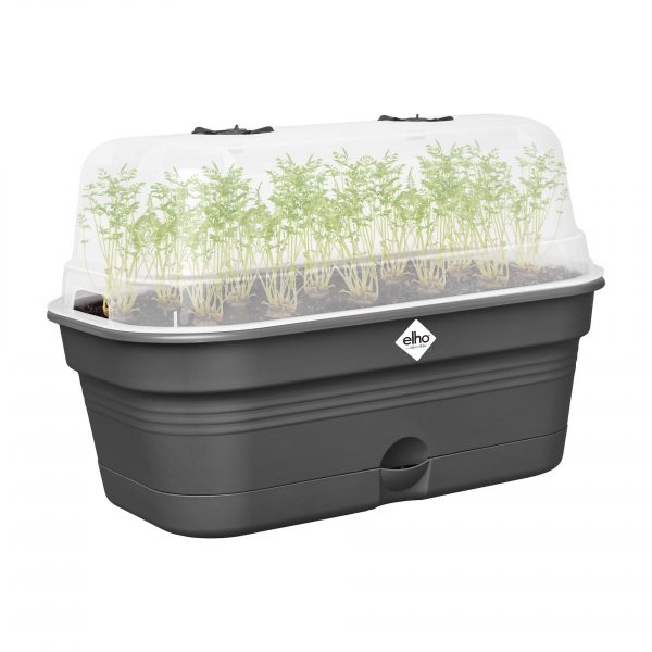 Minipařeniště Green Basics growpot tray all-in-1 39 cm - living black - 3afa45c9 d996 4e25 9674 d74b244b43d3