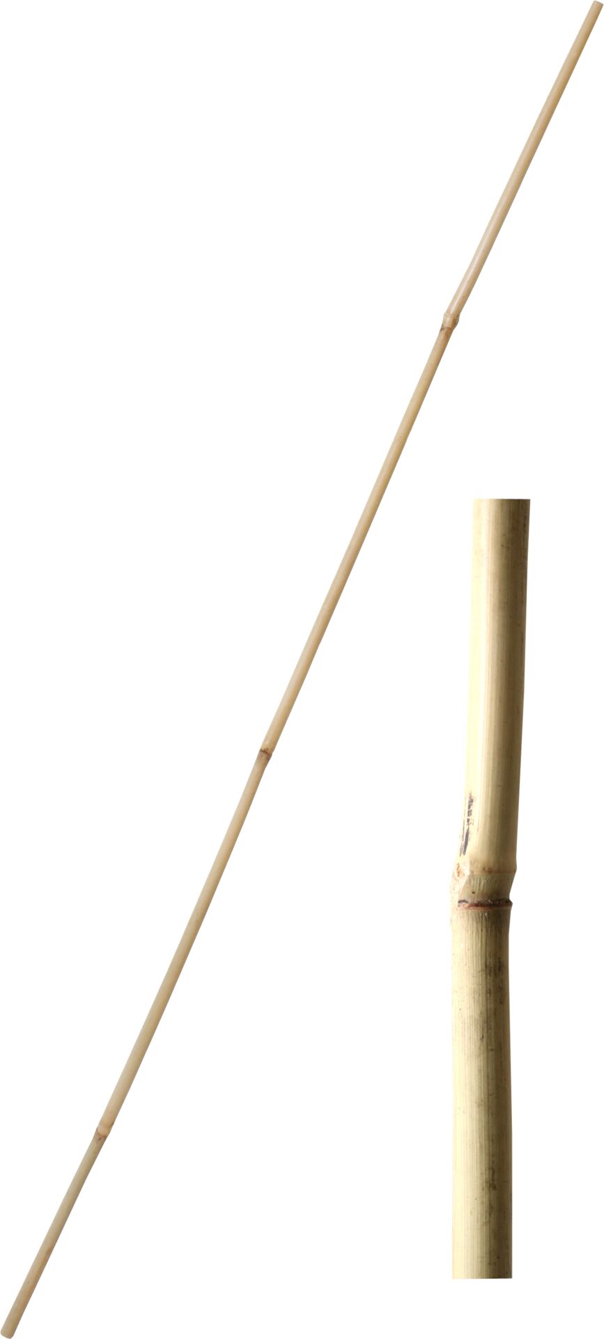 Tyč bambusová 150/(153) cm tl. 12-14 mm - 4517db86 c206 4e9f 9698 37895f717cb3