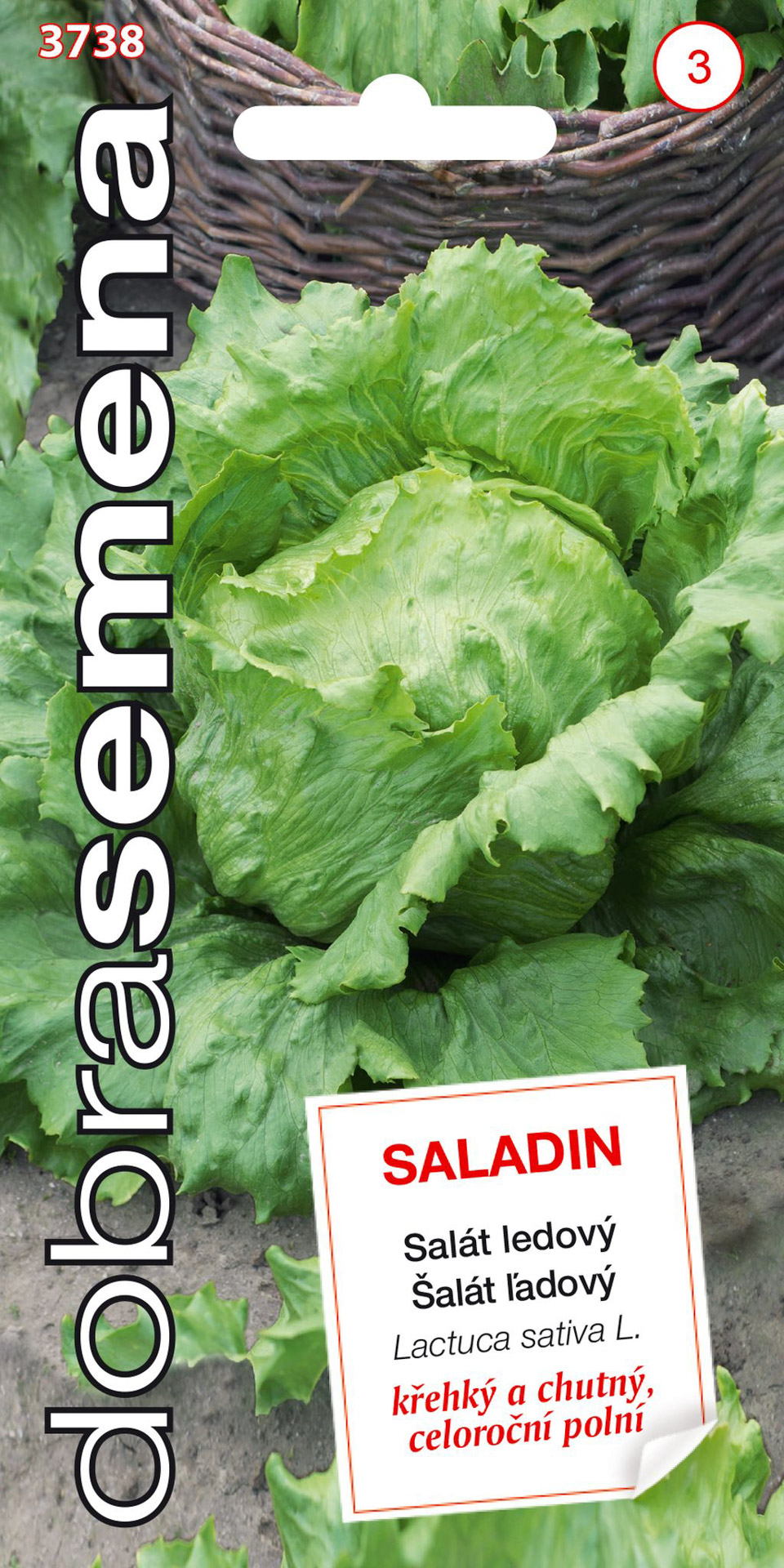 Dobrá semena Salát celoroční ledový - Saladin 0,6g - 4eadc304 db66 4f47 ab0a 124e8b0a1dd4