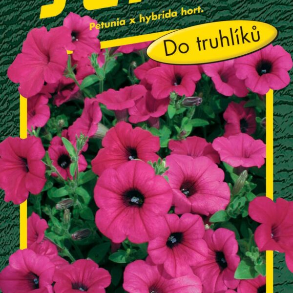Petunie převislá - Purple Velvet F1 (typ Surfinie) 10p