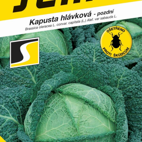 Kapusta hlávková - Vertus 2 pozdní 1g