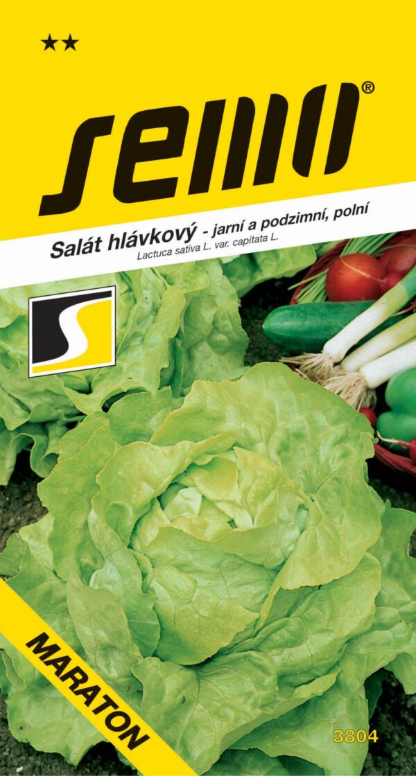 Salát jarní - Maraton polní (podzimní) 0,6g - 54b541e8 85da 407b a835 3dce910c3130