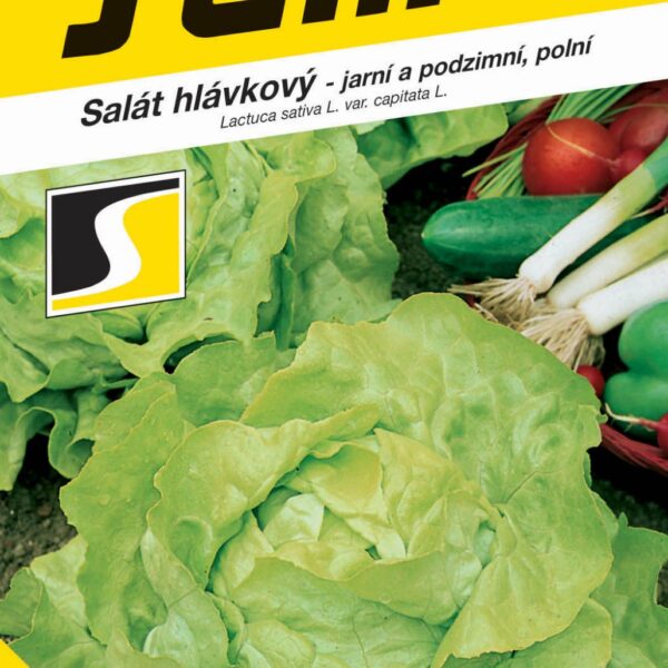 Salát jarní - Maraton polní (podzimní) 0,6g
