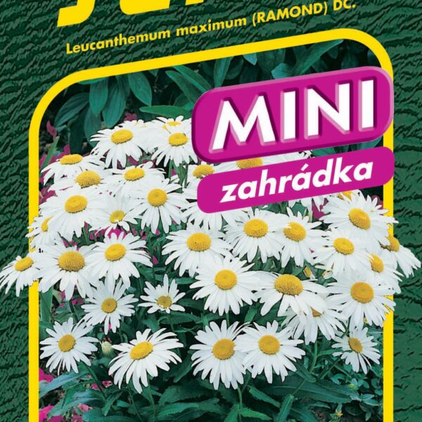 Kopretina bílá - Silver Princess 0,3g - série MINI