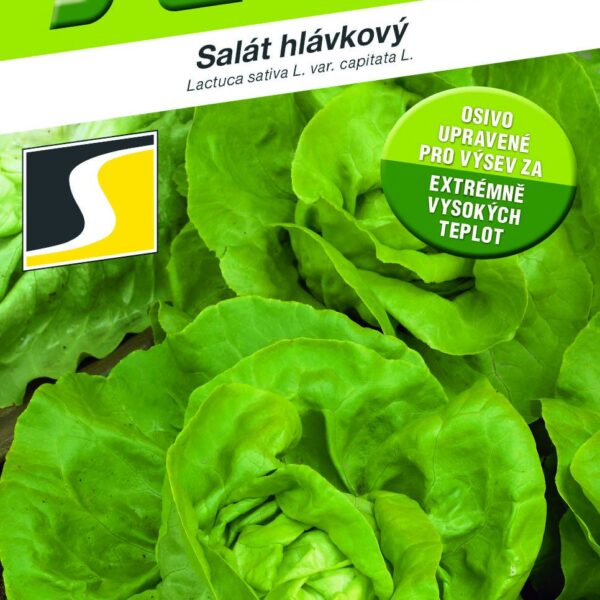 Salát celoroční - Maršálus PROFI polní 0,5g /TEPELNĚ OŠETŘENO/