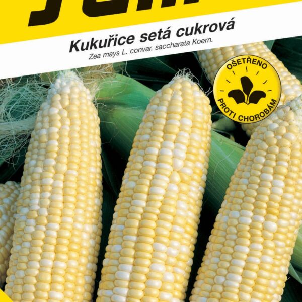 Kukuřice cukrová - Afrodita (Gusta) F1