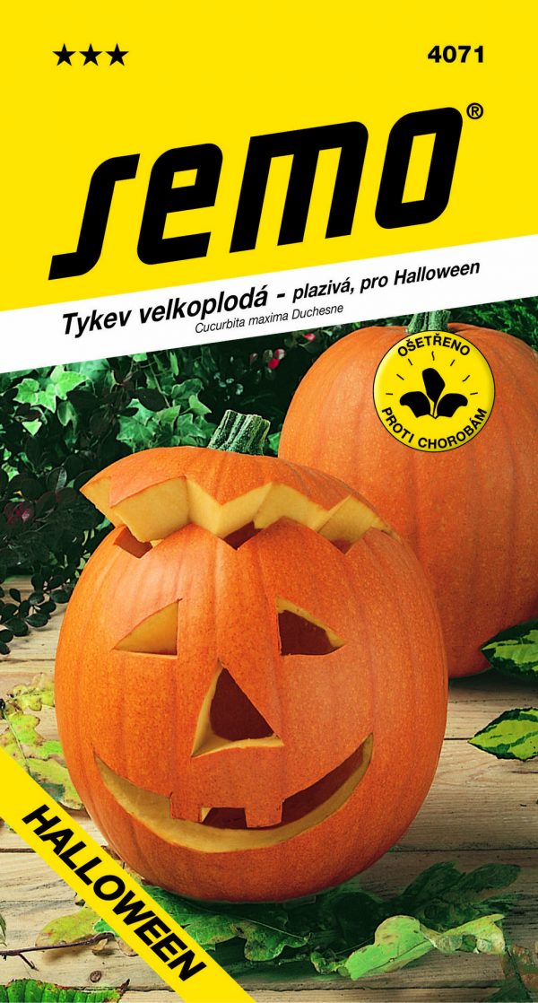 Tykev Gran Gigante (Halloween) - plazivá 2g - 6423f499 dd55 45ae b3ce 194a336aa60e