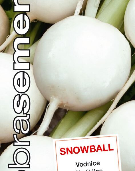 Dobrá semena Vodnice - Snowball 2g