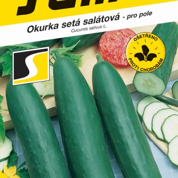 Okurka salát. - Linda F1 Mix pole 1,3g