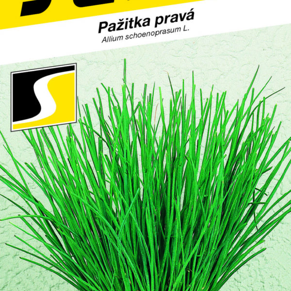 Pažitka - Erecta, vzpřímená 2g