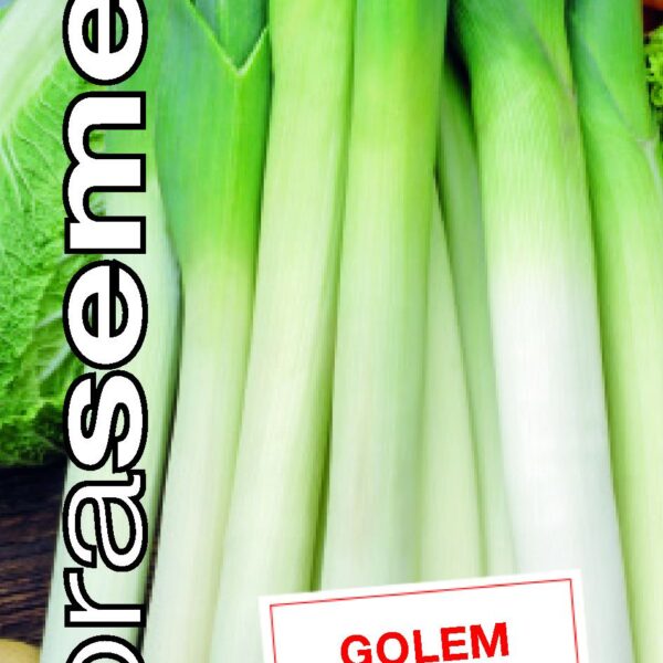 Dobrá semena Pór letní - Golem 1g