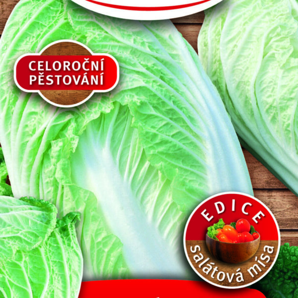 ROSTETO - Zelí Manoko F1 - pekingské celoroční 40s