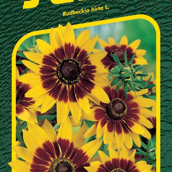 Třapatka srstnatá - Gloria Daisy 0,5g