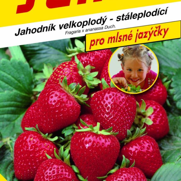 Jahodník velkoplodý - Grandian F1 12s - série JAZÝČKY
